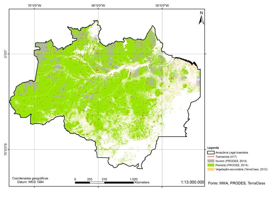 distribuicao