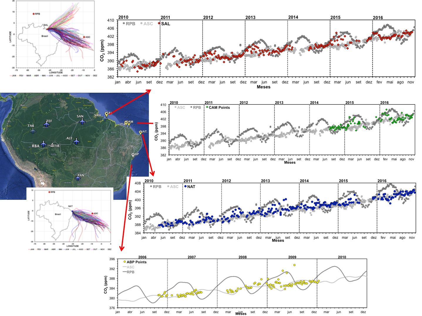 grafico