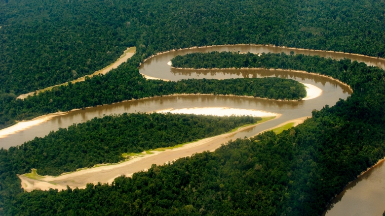 CNPq lança série com pesquisas sobre os ecossistemas brasileiros
