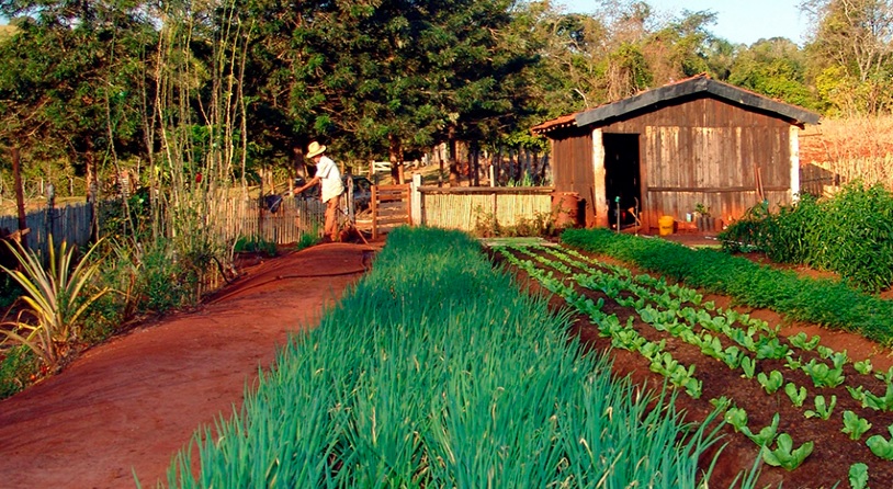Segurança socioecológica deve ser quarto componente das políticas de sustentabilidade