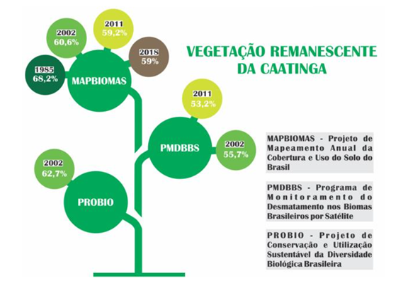 Estudo, com participação de colaboradora da DIIAV-INPE, mostra mapeamento da Vegetação da Caatinga a partir de Dados Ópticos de Observação da Terra.