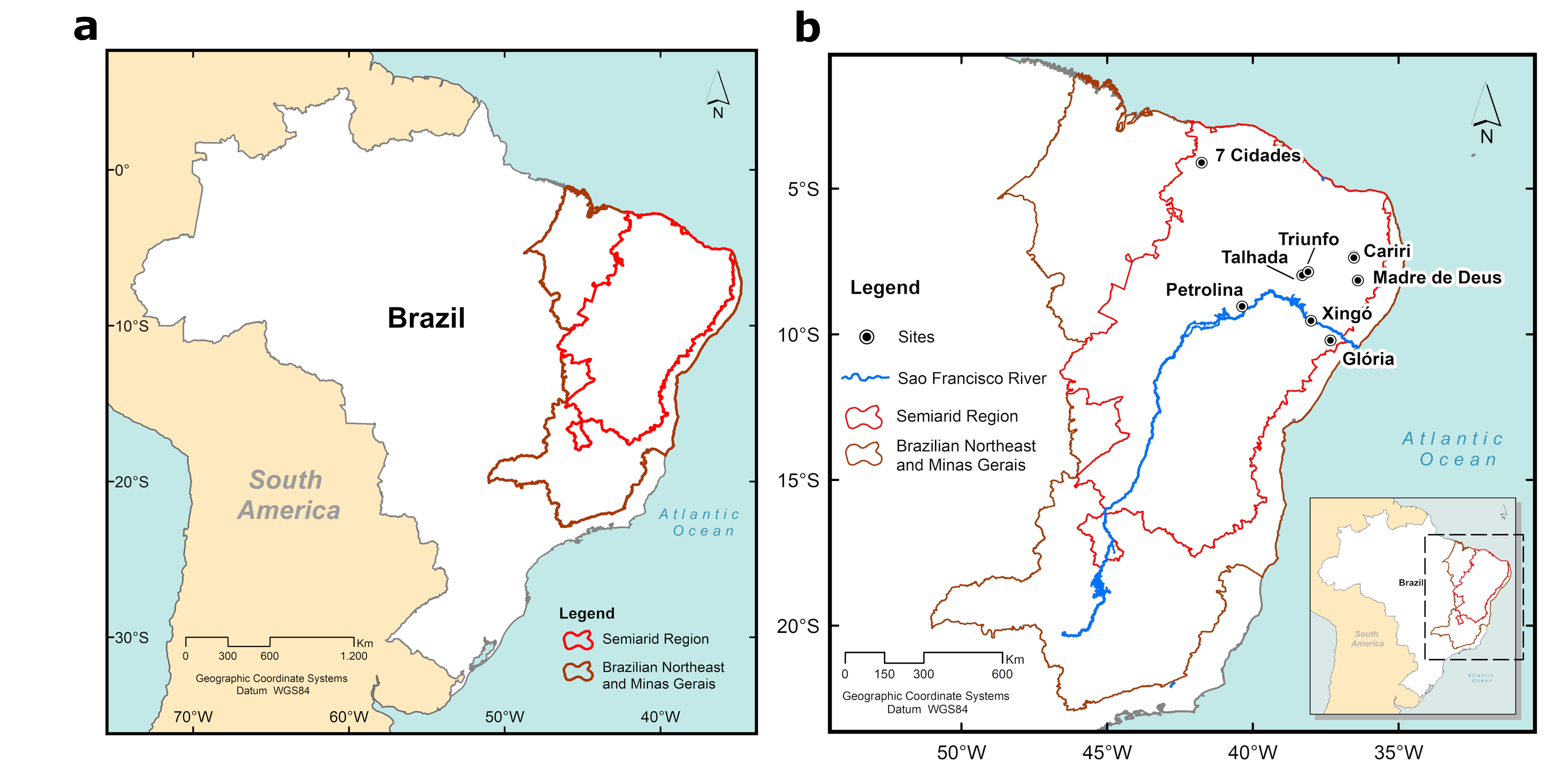 Estudo analisa o fenômeno conhecido como “greening” e a eficiência no Uso da Água durante um período de alta frequência de secas no semiárido brasileiro