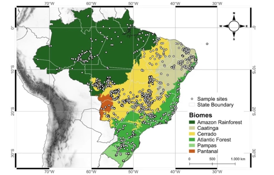 Pesquisa, com a co-autoria de pesquisador do INPE, propõe novos modelos para estimar densidade do solo no Brasil e melhorar o cálculo de estoques de carbono